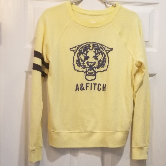 abercrombie tiger hoodie